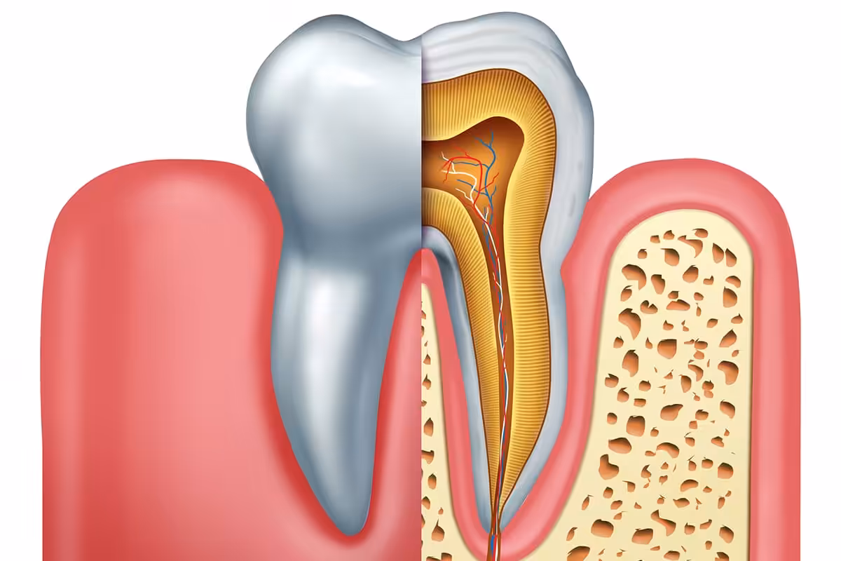 How Long Does A Root Canal Take?